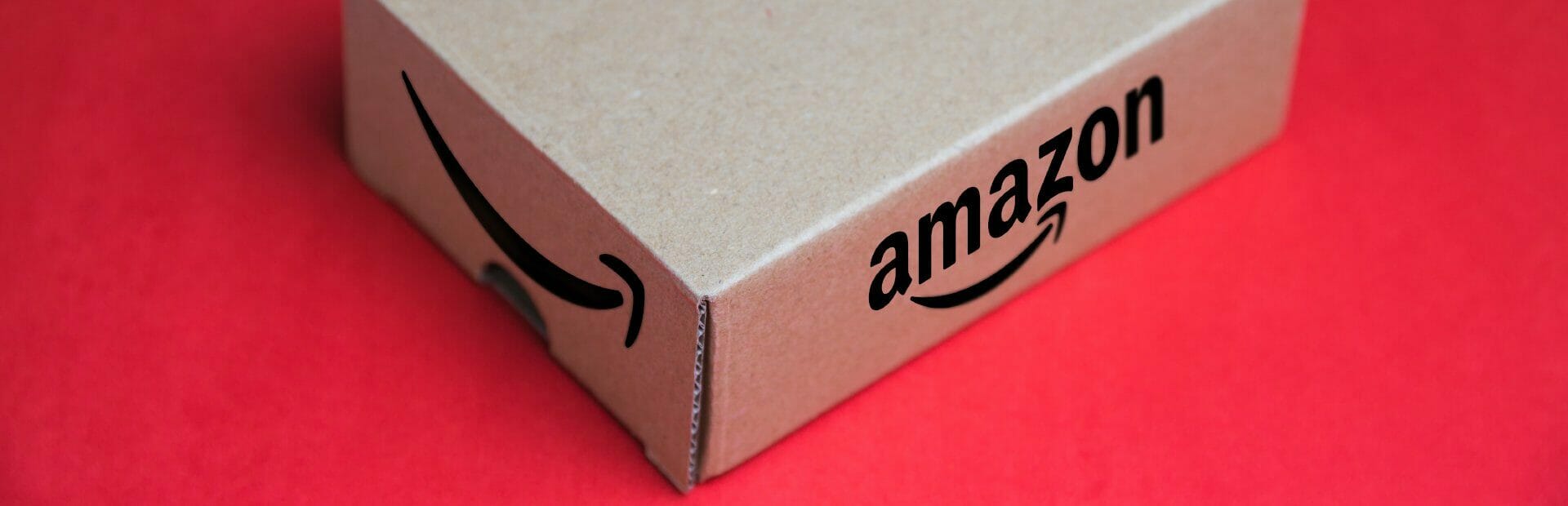 Il Project Zero di Amazon aiuterà a combattere la contraffazione online?